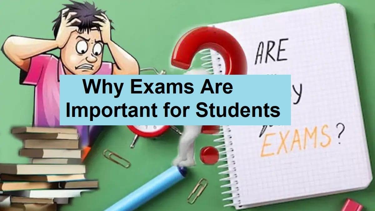 Why Exams Are Important for Students Unveiling the Magic of Learning
